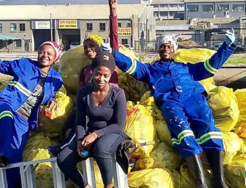 Cape Town Nature Lovers Collect Massive Ocean Waste