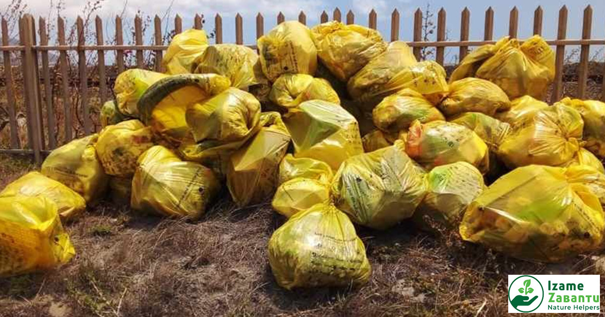 Izame Zabantu Nature Helpers remove over 6 500 bags of plastic waste from beaches, river-mouths